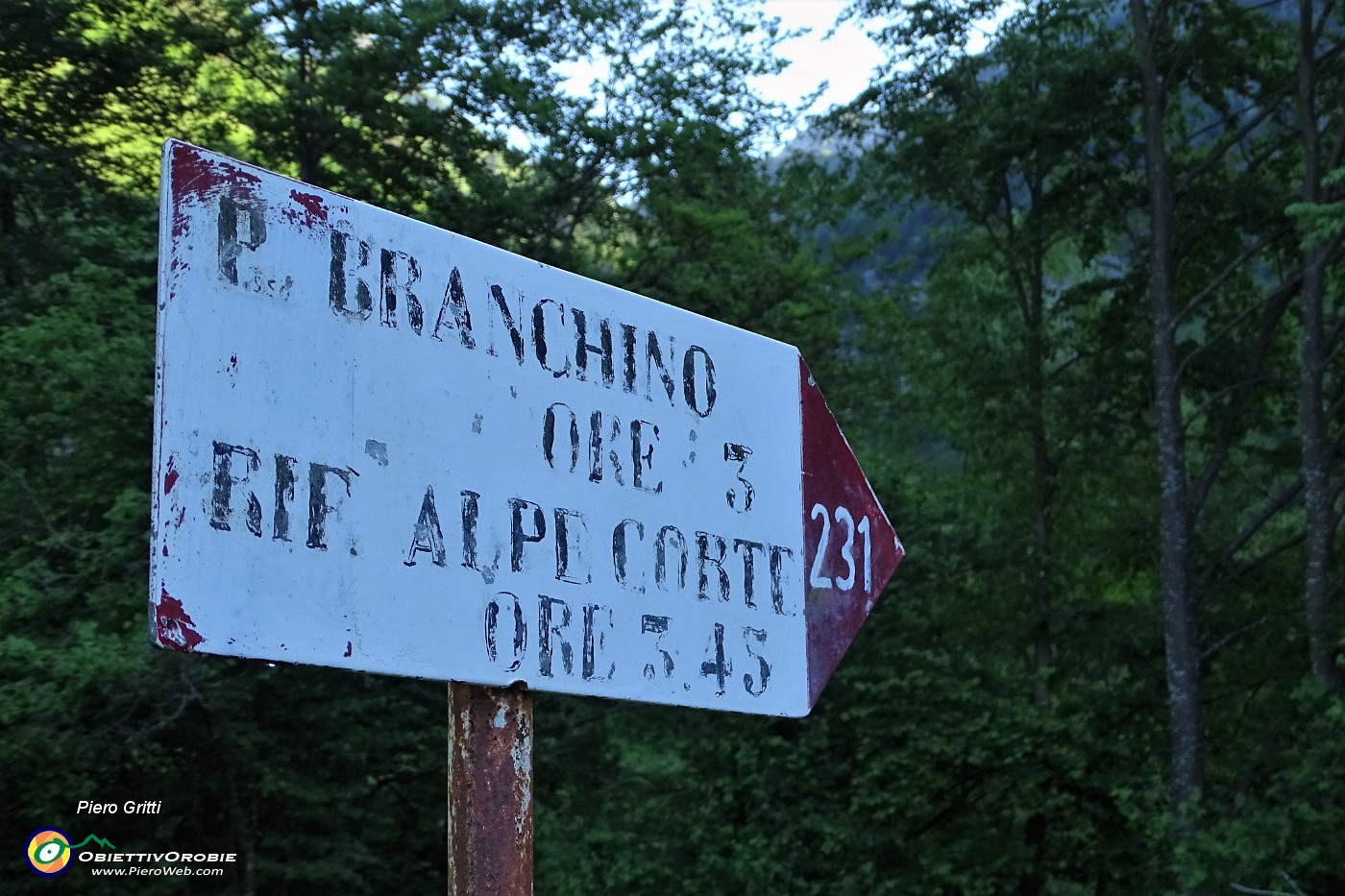 06 Il sent. 231 per Passo di Val Vedra-Branchino lo rimando per il ritorno.JPG